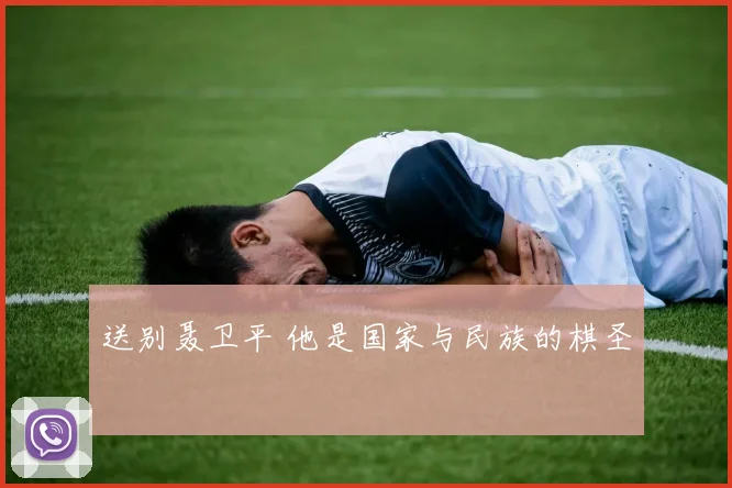 送别聂卫平 他是国家与民族的棋圣