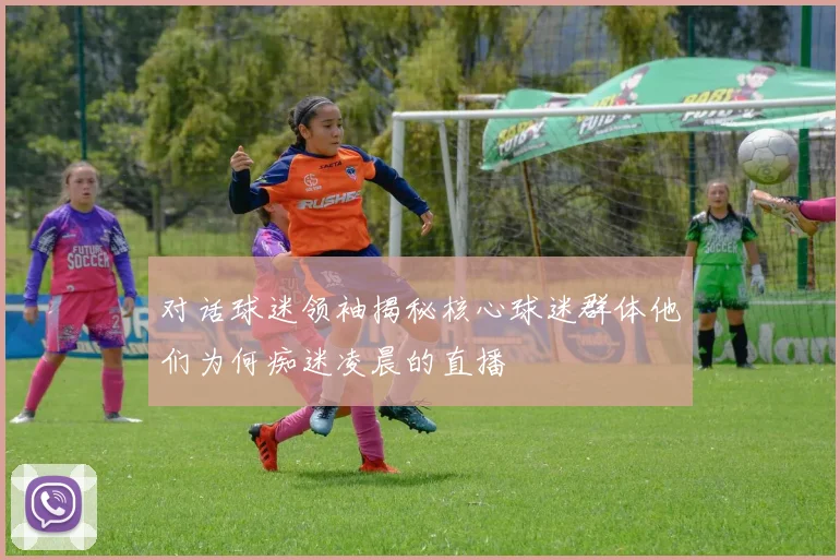 对话球迷领袖揭秘核心球迷群体他们为何痴迷凌晨的直播